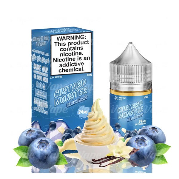 سالت خامه بلوبری مانستر Castard Monster Blueberry