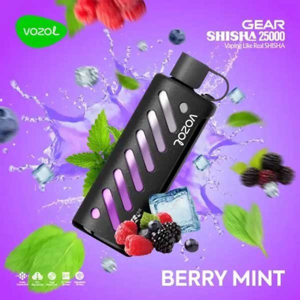 ویپ یکبار مصرف میکس بری نعنا وزول ۲۵۰۰۰ پاف Vozol Gear Shisha 25000 Mix Berry Mint Disposable