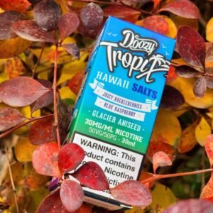 طعم‌ سالت نیکوتین:بهترین برای پاییز و زمستان | راهنمای کامل تجربه‌ای گرم در هوای سرد