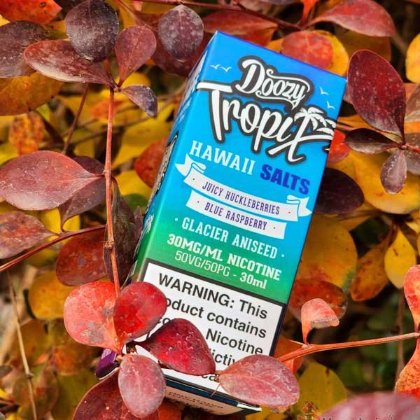 طعم‌ سالت نیکوتین:بهترین برای پاییز و زمستان | راهنمای کامل تجربه‌ای گرم در هوای سرد