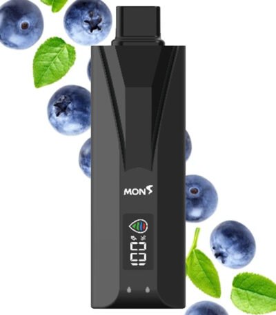 پاد یکبار مصرف بابل مون بلوبری Bubblemon Dual Mesh Blueberry 35000 Puffs