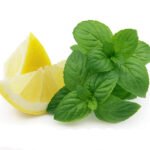 ویپ یکبار مصرف الف بار ۳۰۰۰۰ پاف ای شیشا لوکس نعنا لیمو Elf Bar E Shisha Luxe Lemon Mint 30000 Puffs