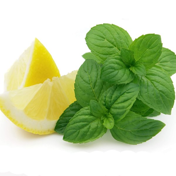 ویپ یکبار مصرف الف بار ۳۰۰۰۰ پاف ای شیشا لوکس نعنا لیمو Elf Bar E Shisha Luxe Lemon Mint 30000 Puffs ویپ یکبار مصرف الف بار ۳۰۰۰۰ پاف ای شیشا لوکس نعنا لیمو Elf Bar E Shisha Luxe Lemon Mint 30000 Puffs