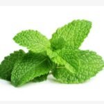 سالت نیکوتین منتول نستی Nasty LIQ 04 Menthol 10ML