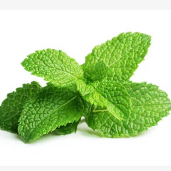 سالت نیکوتین منتول نستی Nasty LIQ 04 Menthol 10ML سالت نیکوتین منتول نستی Nasty LIQ 04 Menthol 10ML