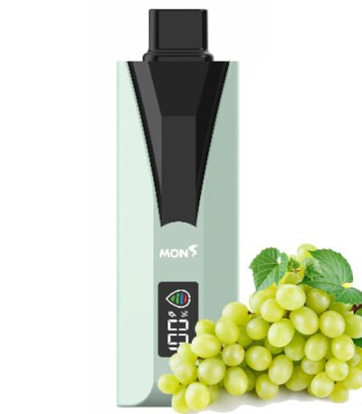 پاد یکبار مصرف بابل مون انگور سبز Bubblemon Dual Mesh Green Grape 35000 Puffs